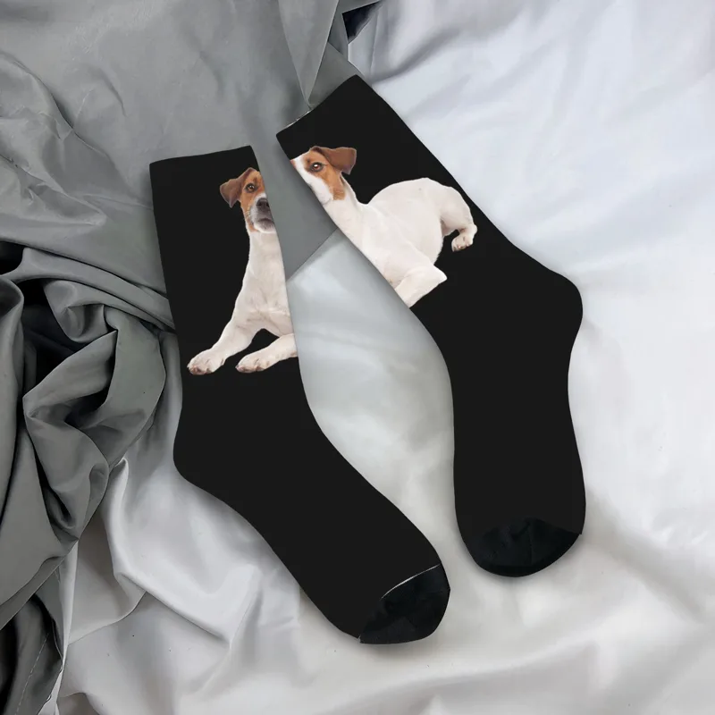 Dress Sock Men - カスタムジャックラッセルテリア犬メンズクルーソックスユニセックス面白い3Dプリントドレスソックス