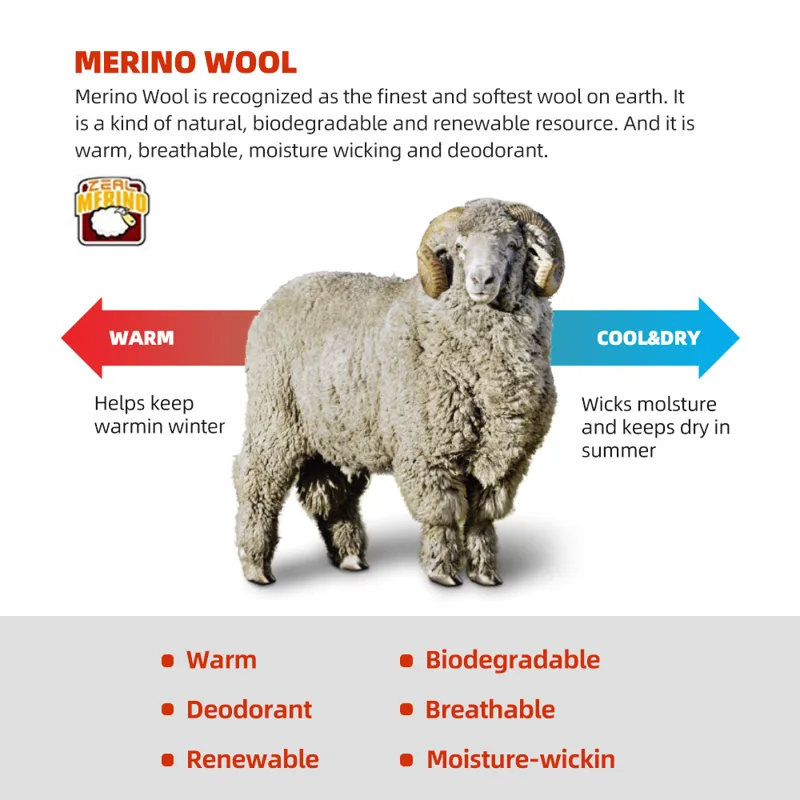 Zealwood-男性と女性のためのメリノウールスポーツソッ - Wool Hiking Sock のレビューと価格