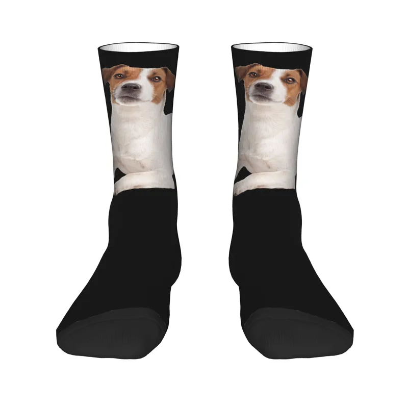 カスタムジャックラッセルテリア犬メンズクルーソックスユニセッ - Dress Sock Men のレビューと価格