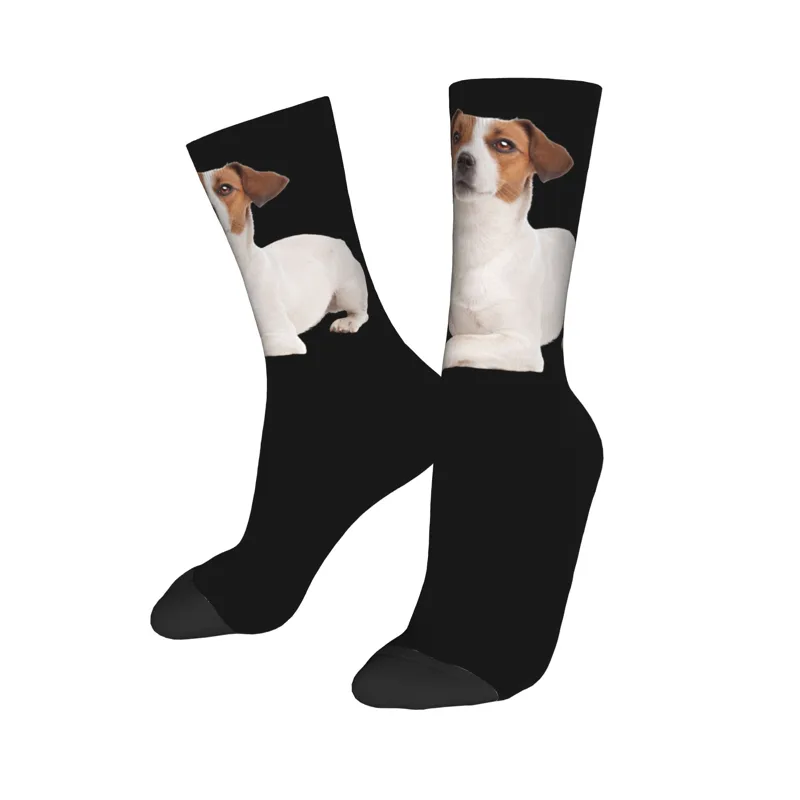 カスタムジャックラッセルテリア犬メンズクルーソックスユニセッ - Dress Sock Men のレビューと価格